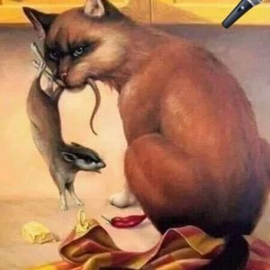 Meet your Posher, Tracy